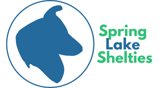 Spring Lake Shelties
  Gray, GA