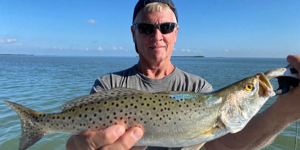 Speckled Sea Trout fishing Key Largo
