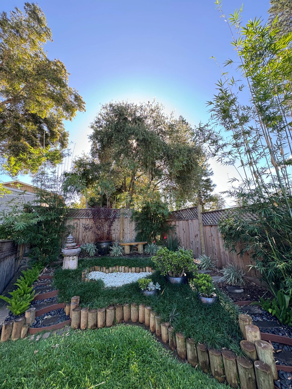 Peaceful backyard garden with bamboo and plants.