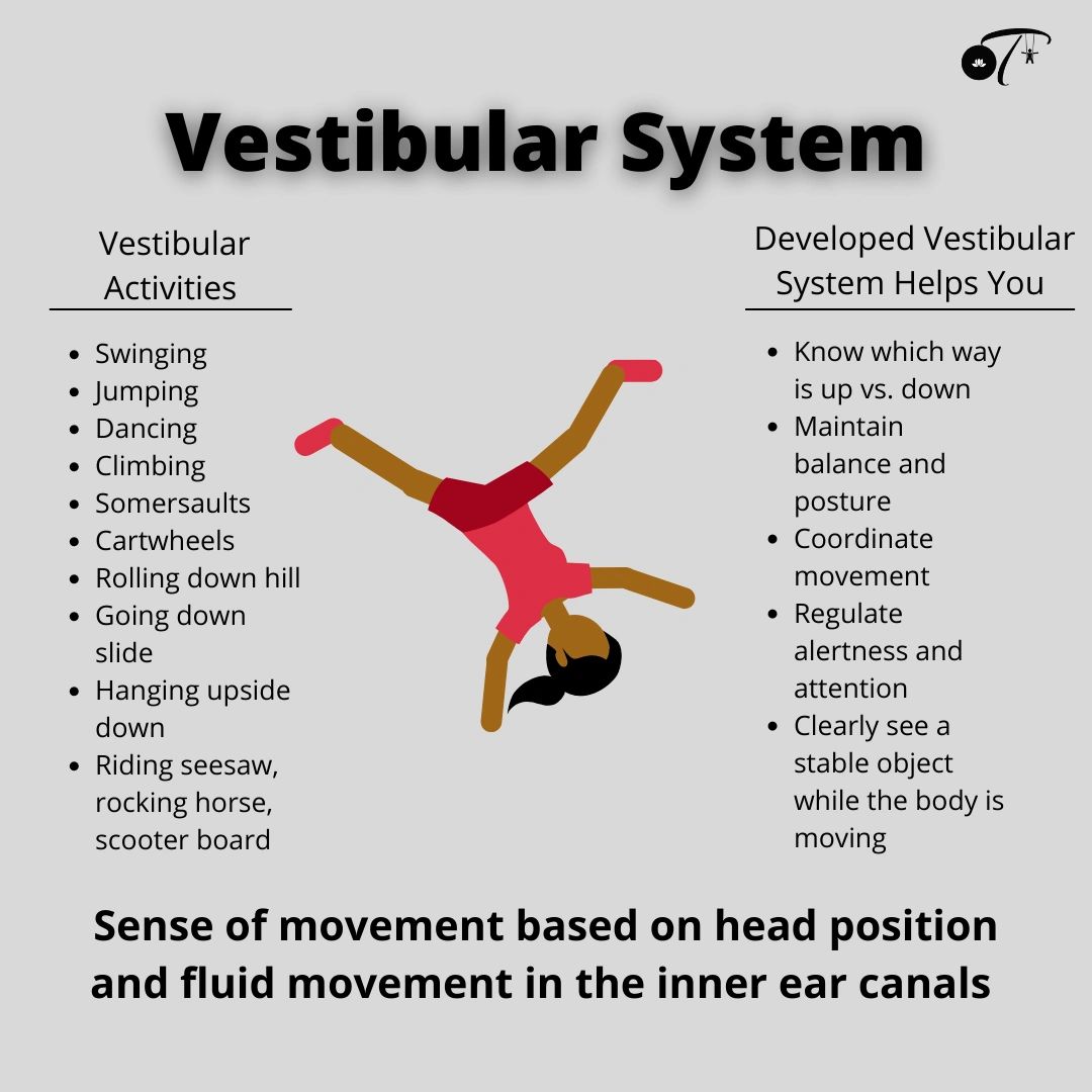What is Vestibular Processing?