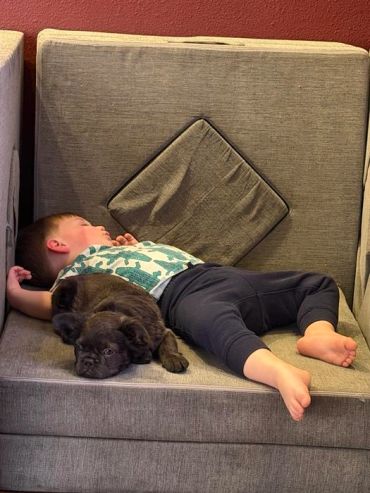 A child and a dog sleeping together on a couch.