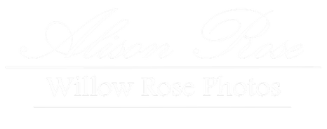 Willow Rose Photos 