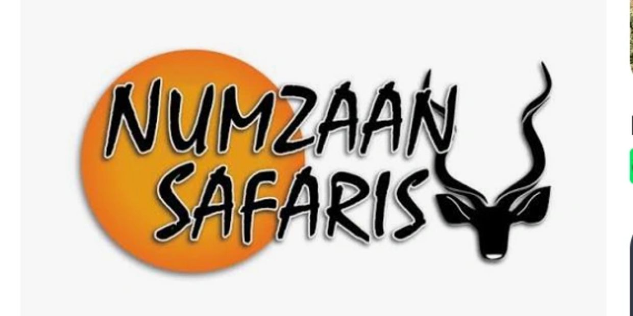 Logo of Numzaan Safaris with an orange sun and antelope head.