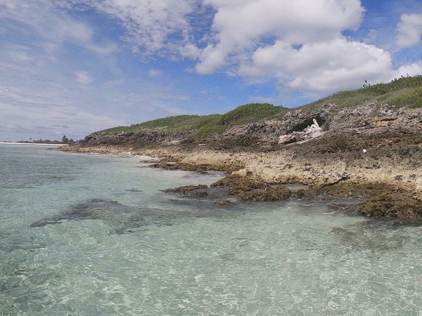 COVID Mary  Little Cayman Island