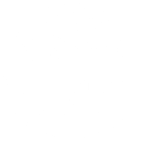 Retreat Into Wellness