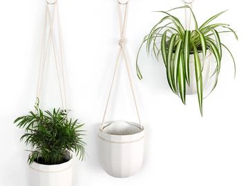 WallyGro Loop Hanging Planter