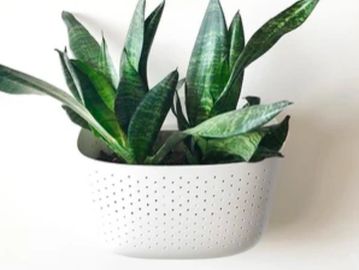 WallyGro Eco Wall Planter