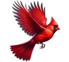 Cardinal Furniture and Cabinetry