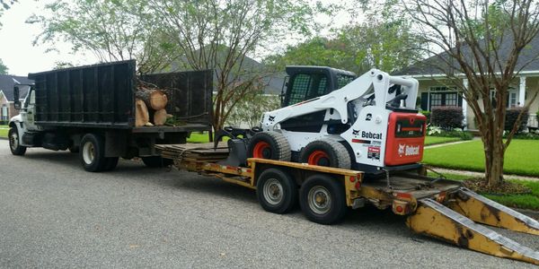 Bobcat front loader for loading cut tree sections into the dump trunk also shown for removal