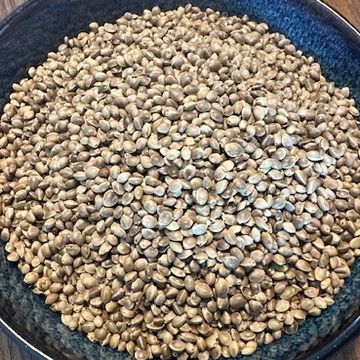 Roasted Hemp