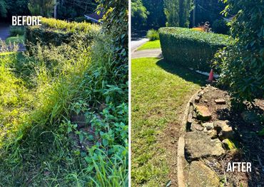 Before and after photos of a garden cleanup showing overgrown plants turned into a tidy hedge.