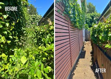 Side yard transformed from overgrown greenery to a clean, clear pathway.