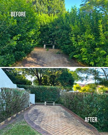 Before and after photos of a cleared garden path with trimmed bushes and a bench.