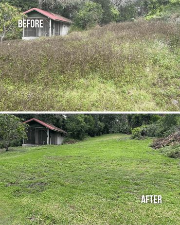 Before and after images showing overgrown grass cleared to a neat lawn.