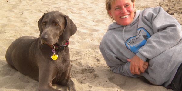 Hatties hotsell dog daycare