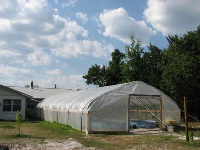 Tilapia farm