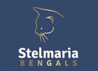 Stelmaria Bengals