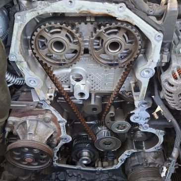 Exposed engine timing belt and gears.