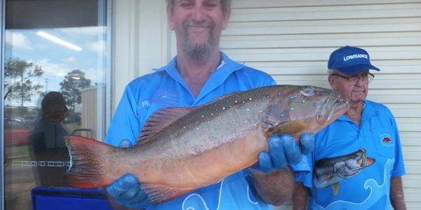 coral trout 