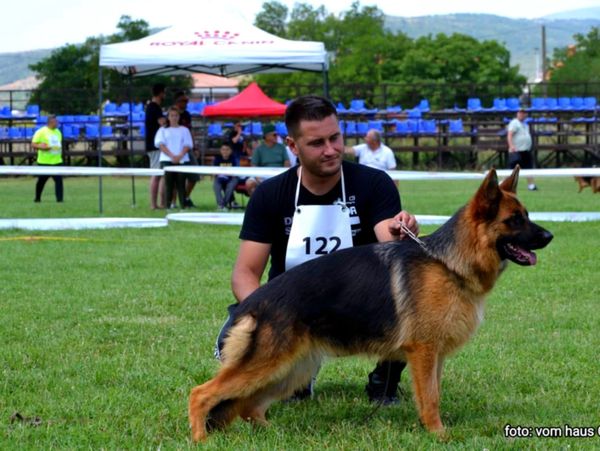 Our import champion dam