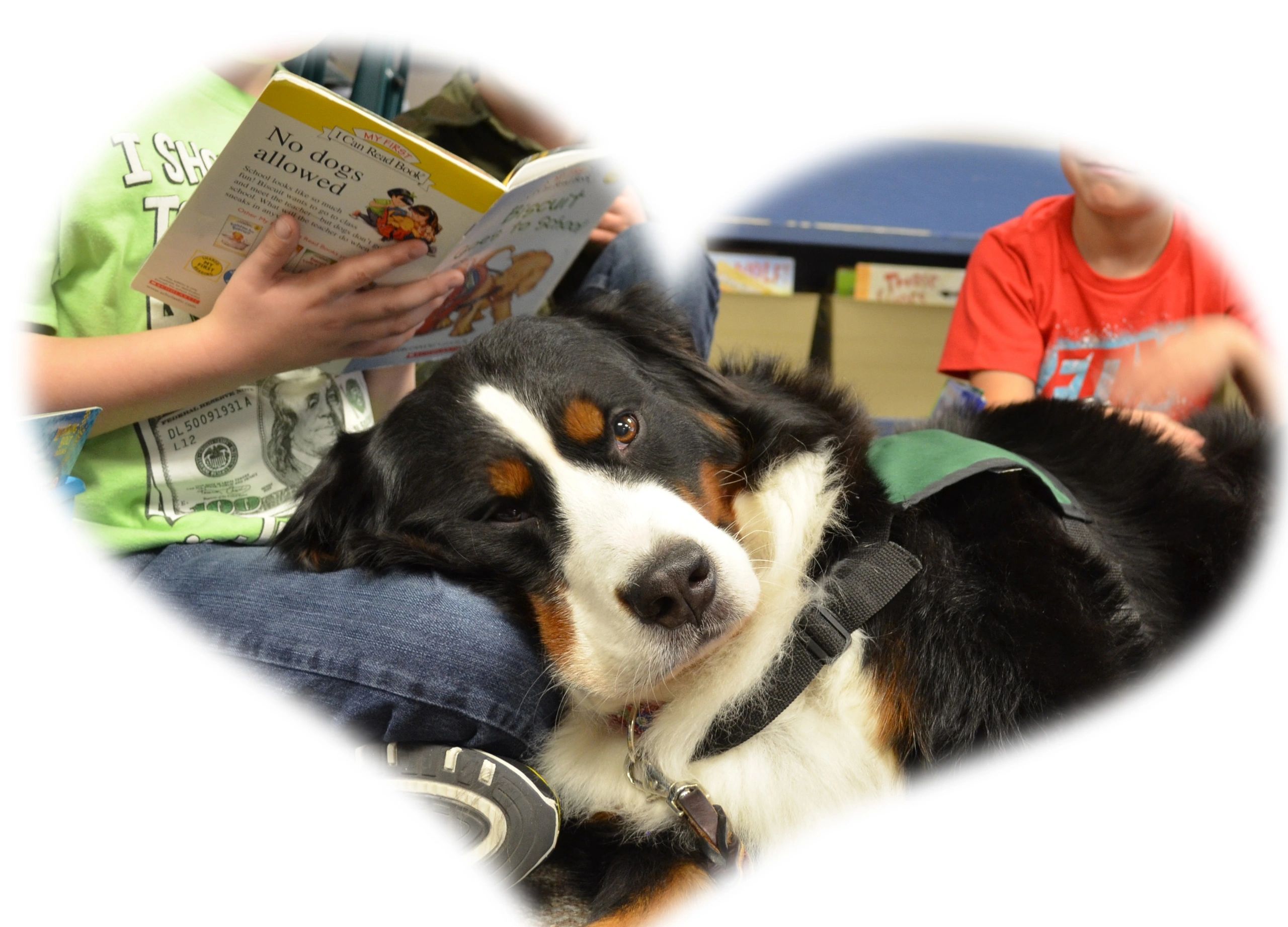 Certified therapy dog, Kiana, helping young readers achieve confidence with their reading skills