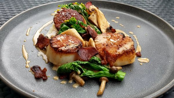 #scallops #seafood #perfect #sear #guanciale #mushrooms #pommepuree  #panseared 