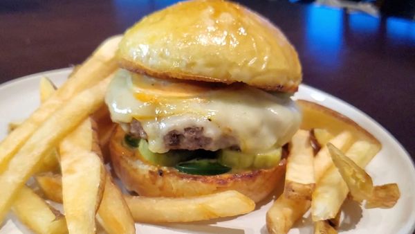 #cheeseburger #burger #classiccheeseburger #americancheeseburger #frenchfries #twicecookedfries 