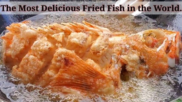 Crispy deep fried Blackbelly Rosefish.
