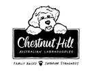 Chestnut Hill Labradoodles