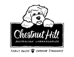 Chestnut Hill Labradoodles