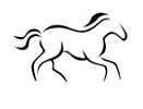 Adelaide Plains Equestrian Club