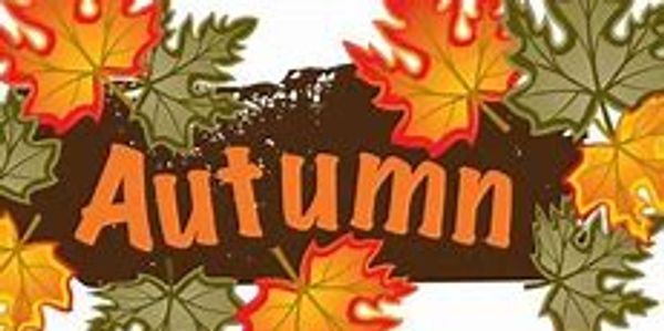Autumn word surrounded by colorful fall leaves.