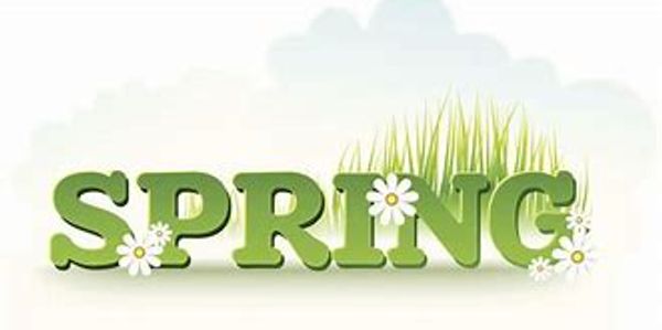 The word SPRING with flowers and grass.