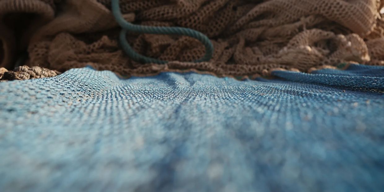 iOysters is our innovation programme to take oyster farming to the futurem, where it will become a s