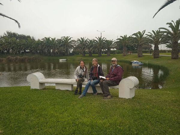 avitour peru birdwatching lima birding puerto viejo wetland endemics