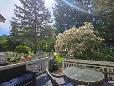 Sunny backyard patio with glass table and cushioned chairs.