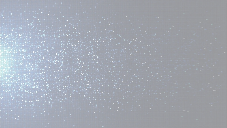 Meet the Founding Team