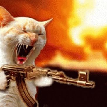 A cat appears to be firing a gun with an explosion in the background.