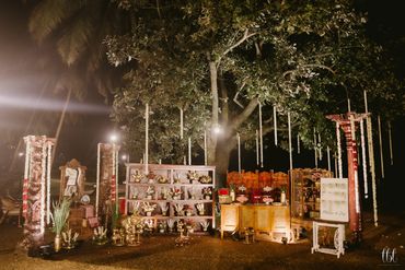 "The Enchanted Legacy"
When Nature Becomes the Grand Ballroom. 🌙🌳