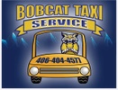 Bobcat Taxi Services LLC