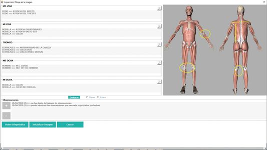 Inspección cuerpo humano