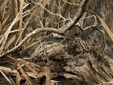 Mossy Oak — Camouflage Patterns
