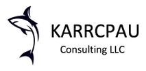 KARRCPAU Consulting LLC