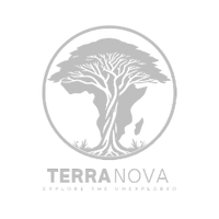 Terra Nova