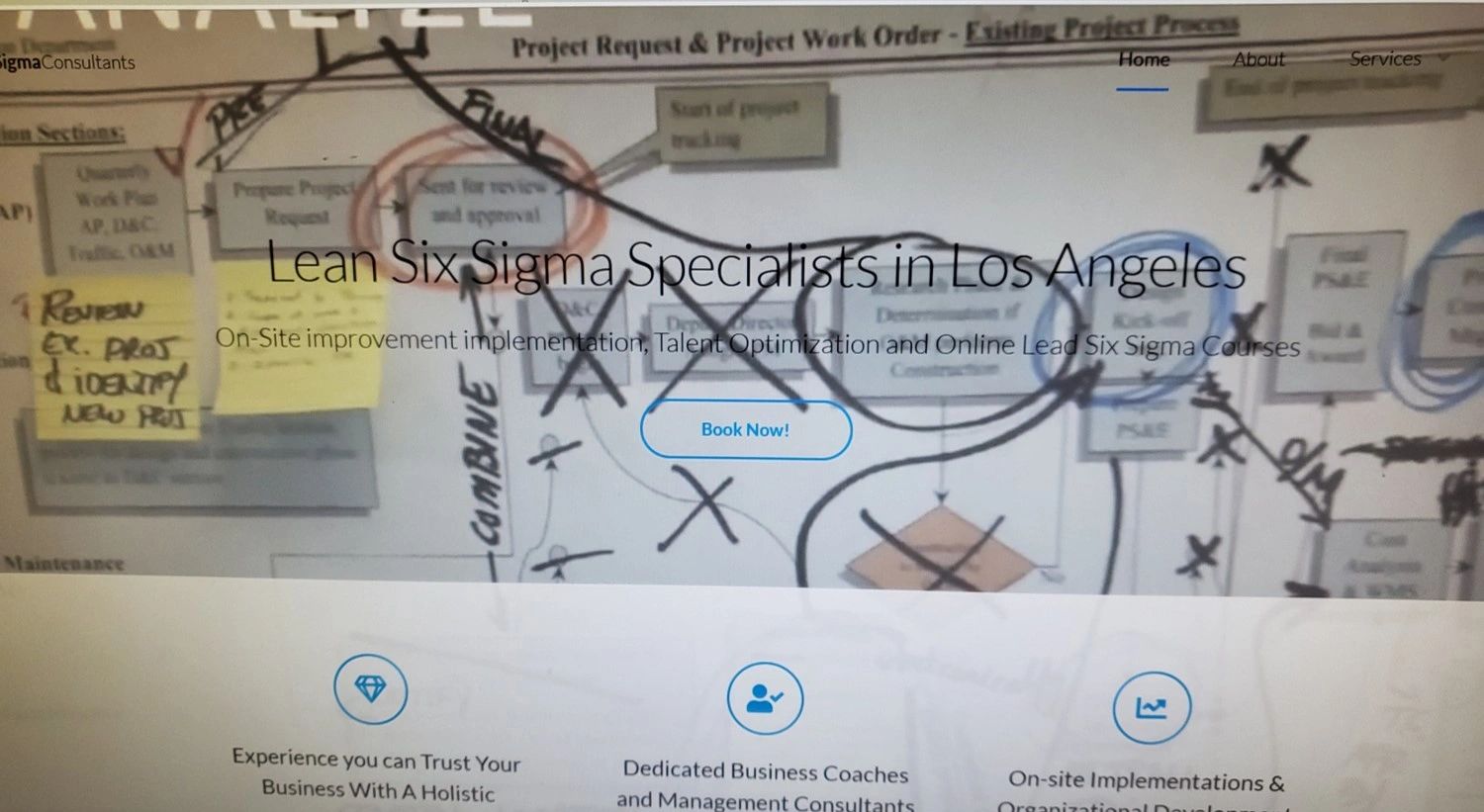 lean six sigma consultant