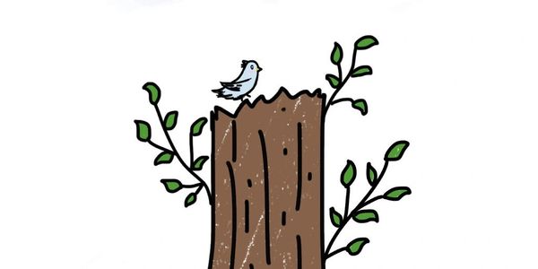 A small bird perched on a tree stump with new leaves and the sun shining.