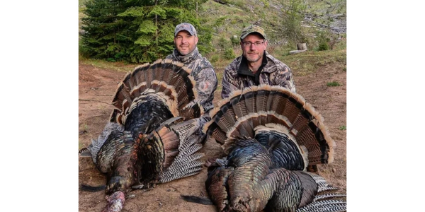 Klickitat Guided Turkey hunts