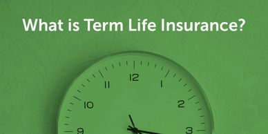 Let's discuss Life Insurance plans and options.  Give us a call or request a quote at  847-550-8321