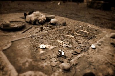 A tabletop grave with HooDoo (Gullah Magic) spell components.