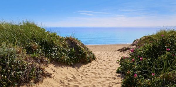 Sandy path through dunes leads to a calm ocean under a clear blue sky.